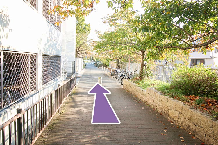 駐輪所を左手に直進します