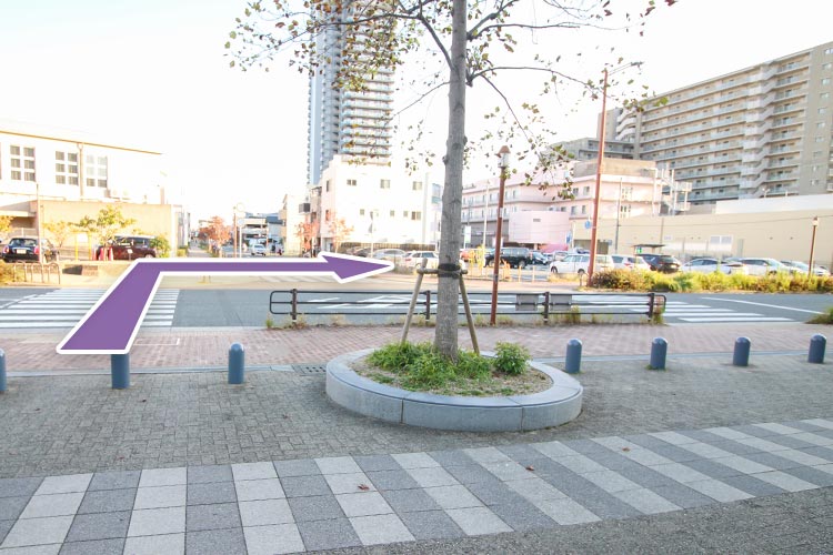 横断歩道を渡り右方向へ